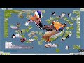 #Water & #Nature #Sounds - #Mandarin #Duck By Zoonar GmbH - #Beautiful #Bird