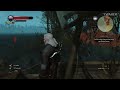 The Witcher 3 Jank