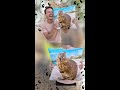 Quokka Eating A Leaf Compilation - Animal ASMR - Quokka Sound [Vertical]