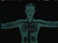 The Human Body - Circulatory System (1956)