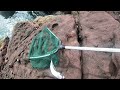 Mackerel Slay Day | Arbroath Cliffs (Ft. Too many birds)