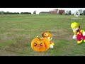 Spp movie: Mr.pumpkin's mating season!!!