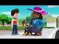 Chase Saves a Silly Squid 🦑 from a Museum and More! | PAW Patrol | Cartoons for Kids