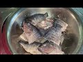 Freshly caught Tilapia Fish from Backdam #curry #fish #food #cooking #subscribe #fyp