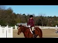 2015-11-22 River Bend Hunter Show