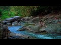 Mountain Stream relaxing Sounds  Upgrade Immunity Calming soul and Meditation