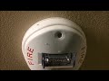 Out in Wheelove Fire Alarms Country Ep  6