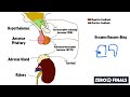 Understanding The Dexamethasone Suppression Test