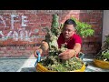 Lê Huy 8/8 #0913936796 bán cây cảnh bonsai Mai Chiếu Thủy, Nguyệt Quế, Siro, Mai Vàng