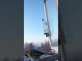 A typical day for birds. 🐦 Обыкновенный день птиц. 🐦