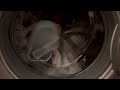 Indesit WIL143 | Flashclean 60c in action