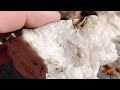 Gold Prospecting To Pouring Gold Bars! HELICOPTER SAMPLE!!!