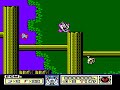 Tiny Toon Adventures (NES) Playthrough