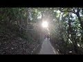30 Minute Virtual Walk, Scenic Treadmill Workout, Burleigh Head National Park, Gold Coast Australia