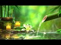 Relaxing Music Relieves Stress, Anxiety and Depression, Sounds of Nature and Water Sound