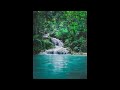 Song birds and Small waterfall| Nature For Depression,Anxiety and Mental Health |