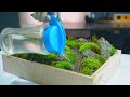 making a  tabletop moss garden with a flowing stream
