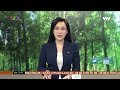 EU cấm hàng hóa có xuất xứ từ phá rừng   VTV VN