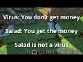 Is Salad a Virus?