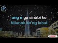 Nilunok Kung Lahat/Selina Sevilla/Karaoke