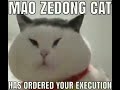 mao Zedong cat