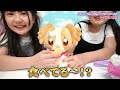 【お買い物】トイザらスでわんだふるぷりきゅあ！おもちゃ購入品紹介！ - はねまりチャンネル