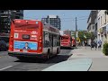 TTC Buses July 2024