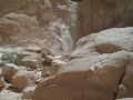 Sinai: White Canyon #2