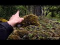 Finding Big Gold In Bedrock! The Remnants Of The Old-timers! Historic Mines In Southern Oregon