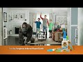 Gorilla Glue Superglue 06sec TVC