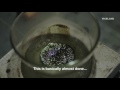 Making Weed Concentrates in an Underground Lab | WEEDIQUETTE