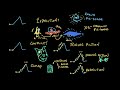 The elements of a story | Reading | Khan Academy