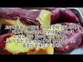 실험하기 위하여 늦게 심고 서리맞으며 늦게 캔 [고구마]는 과연 심도 없고 달고 맛있을까