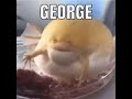 George the peculiar pufferfish