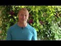 How to Speed Read | Tim Ferriss