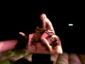 Alice rides the rodeo bull