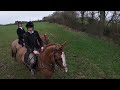 Never Underestimate a Ledbury Hedge! Second Horses out Trail Riding | Equestrian