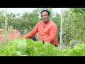 Farming with Vahchef - growing vegetables, flowers and fruits in his farm