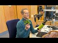 Macht Fleisch krank? Dr. Matthias Riedl über das Metabolische Syndrom | Ernährungs-Docs-Podcast