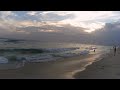 Gaivota pescando na praia da Barra