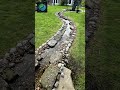 Water feature/ stream to pond