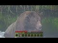 Bear Live Cam but it's Minecraft