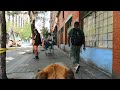 Gopro Made Me This Video 😬 DTES Vancouver