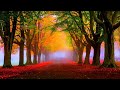 Beautiful relaxing Music : Soothing Music for Stress Relief