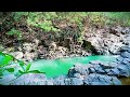 Relaxing and Healing Water Sound of Tropical River make Calm and Refreshing Your Mind