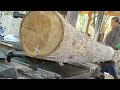 Processing young teak wood into cheap furniture materials at a price of 2 meters long