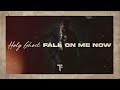 Holy Ghost (feat. Shara Mckee) [Official Lyric Video]