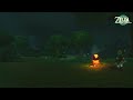 just rest, everyone is asleep...( relaxing video game zelda music w/ campfire ambience)