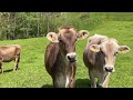 Appenzell, Switzerland 4K - Unbelievable Places on Earth - Breathtaking Nature 4K UHD - Travel Vlog