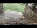 Fuertes lluvias en las calles lago de patzcuaro michoacan